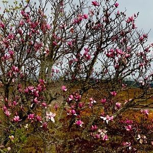 Meet your Posher, Keyla